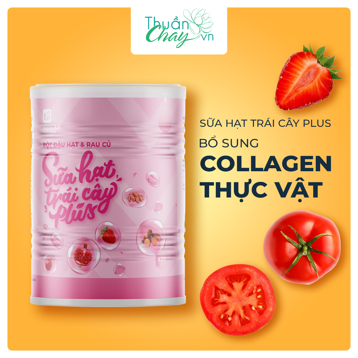 SỮA HẠT TRÁI CÂY PLUS BỔ SUNG COLLAGEN THỰC VẬT, HỖ TRỢ CHỐNG LÃO HÓA DA (420g)
