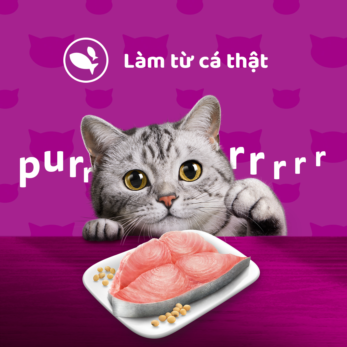 Thức Ăn Dạng Sốt Cho Mèo Trưởng Thành WHISKAS - 80g (24 Túi)