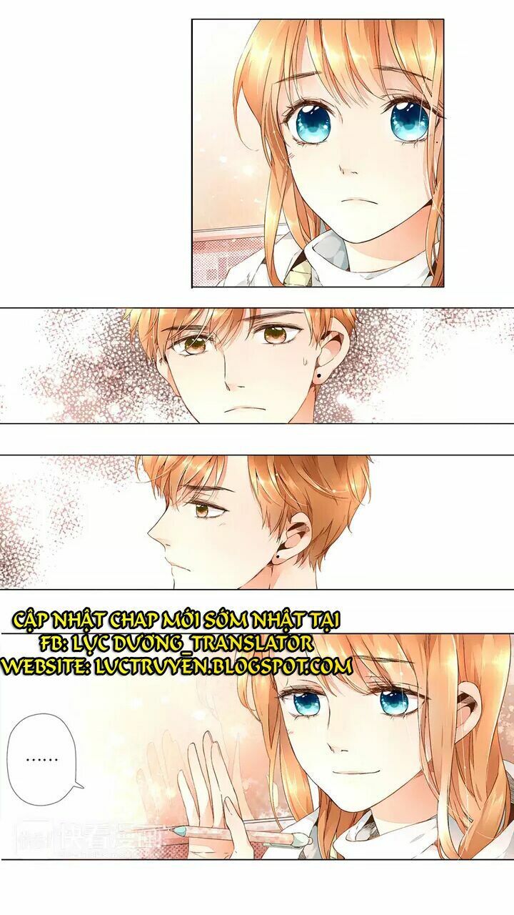 Tình yêu là màu hoa anh thảo chapter 16.1 23