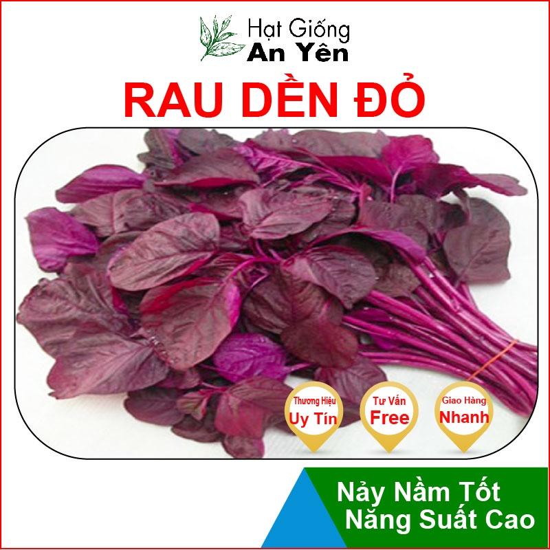 Hạt giống Rau Dền Đỏ thu hoạch sớm, dễ trồng, nảy mầm cao, sinh trưởng khoẻ