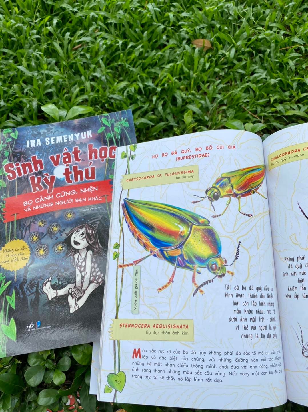 Sinh Vật Học Kỳ Thú - Những Cư Dân Tí Hon Của Rừng Việt Nam - Bọ Cánh Cứng, Nhện Và Những Người Bạn Khác