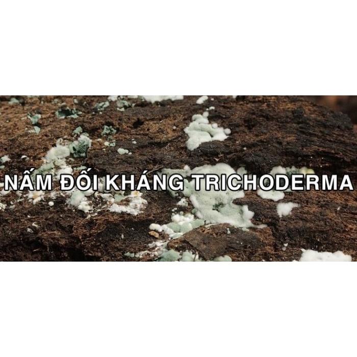 Chế phẩm vi sinh trichoderma 1 tỷ bảo tử chống thối rễ, tạo mùn đất, phân hủy hữu cơ - Hạt giống H2 seeds