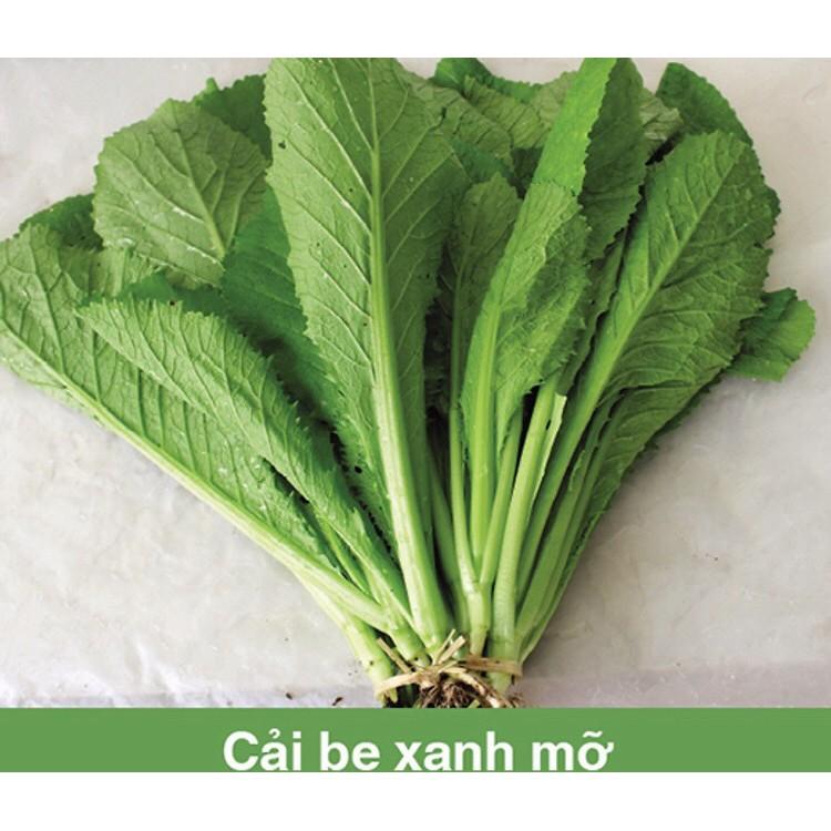 20GR - HẠT GIỐNG RAU CẢI BẸ XANH MỠ CAO SẢN