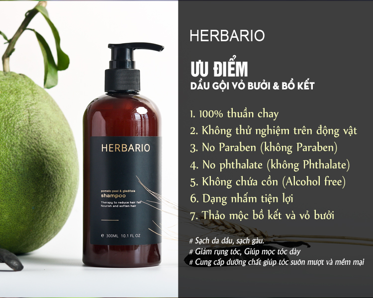 Bộ Dầu gội và Dầu xả Vỏ Bưởi & Bồ kết Herbario
