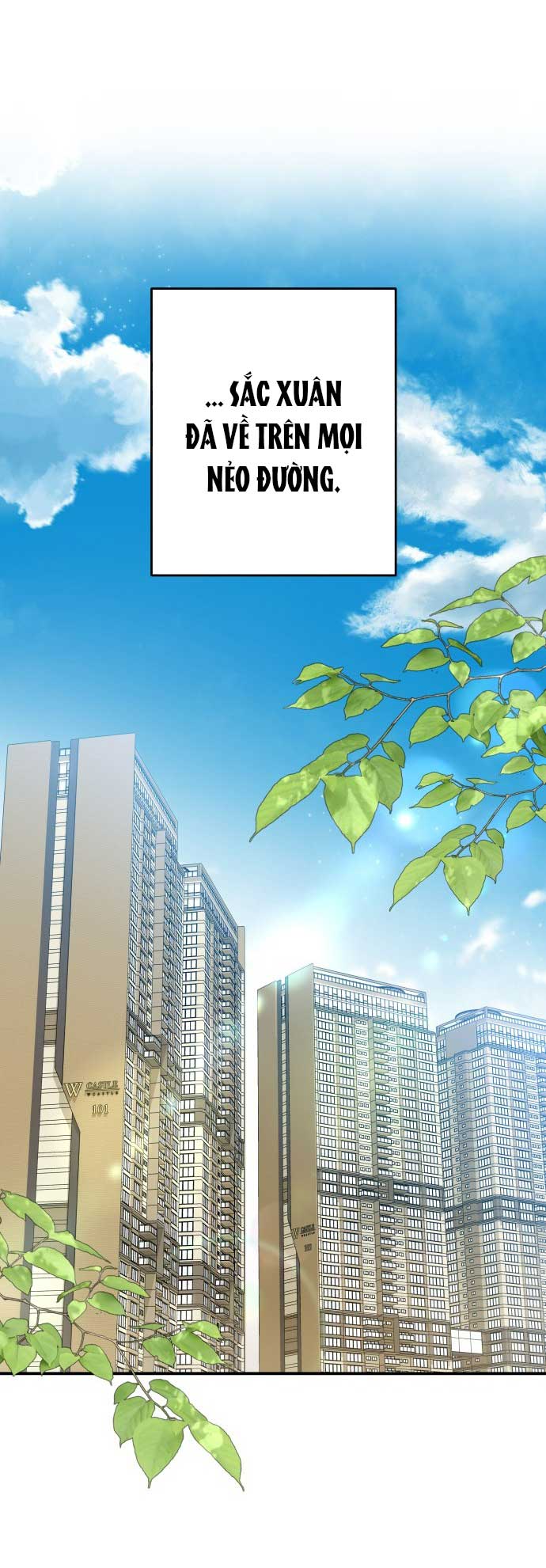 gửi em người đánh cắp những vì sao - to you who swallowed a star chapter 143.1 41