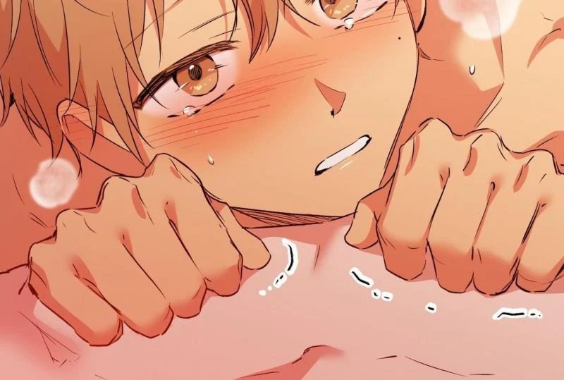 những chú thỏ của hapypy chapter 64 37