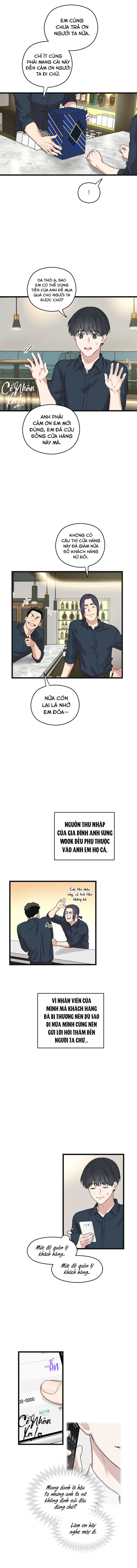 trùng phùng chapter 11 4