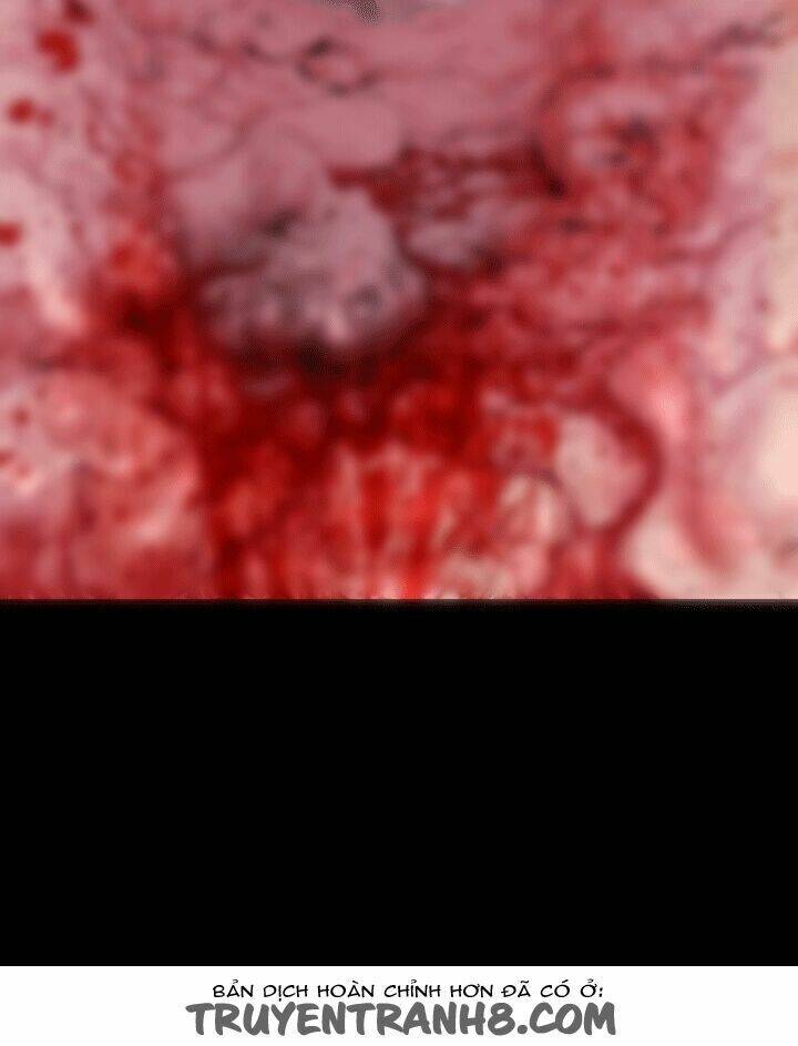 balance chapter 4 16