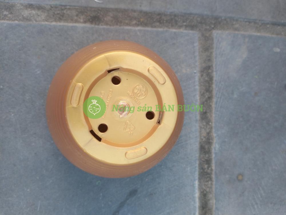 3 Chậu nhựa Hoa Mai Vàng 110x90, trồng cây mini,  xương rồng, cây để bàn, sen đá