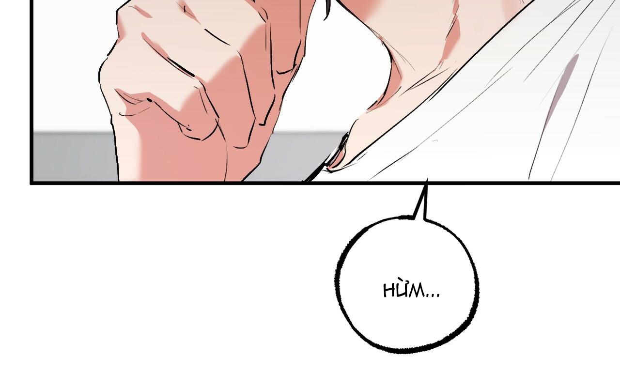 đàn thỏ của habibi chapter 48 19