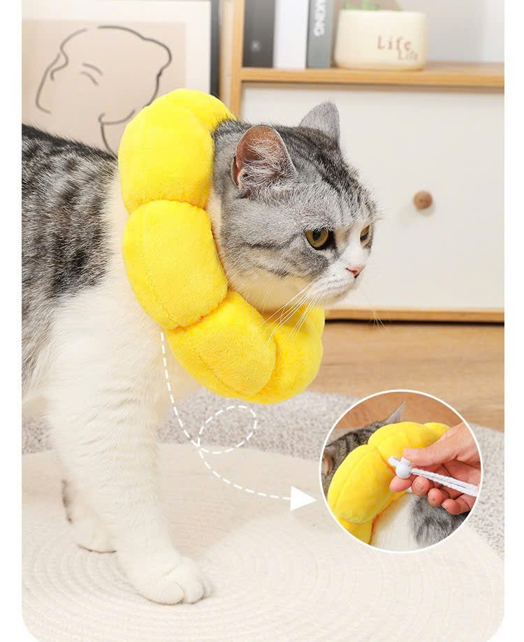 VÒNG CỔ THÚ CƯNG VÒNG CỔ LOA CHỐNG LIẾM CHO THỎ CHÓ MÈO BÔNG HOA DỄ THƯƠNG TỪ 0.5-5.5KG MÃ 10 CHO CHÓ MÈO THỎ