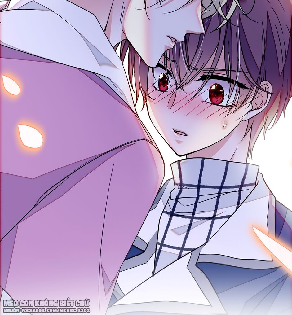 long phượng phiên chuyển chapter 38 49