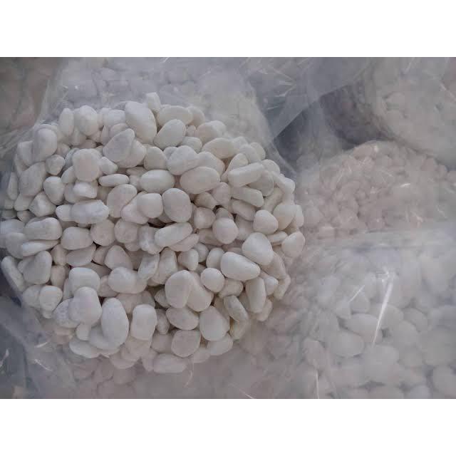 SỎI TRẮNG TRANG TRÍ 500 GR, có nhiều cỡ sỏi