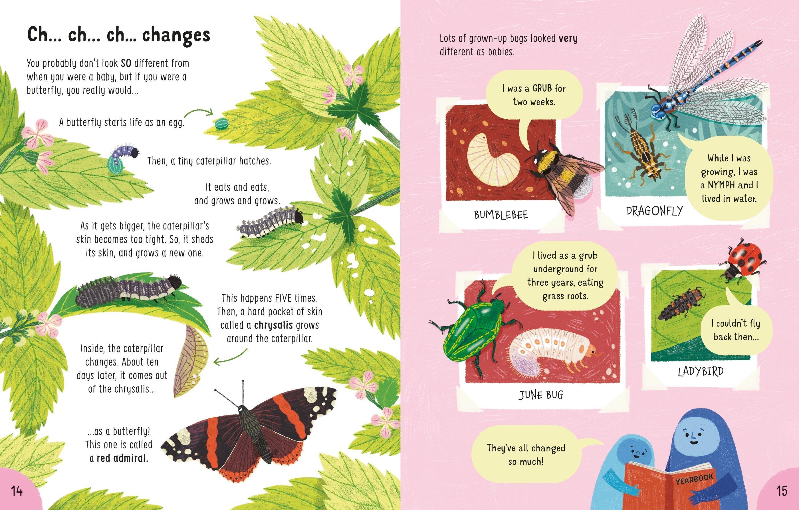 Sách ngoại văn: Lots Of Things To Know About Bugs