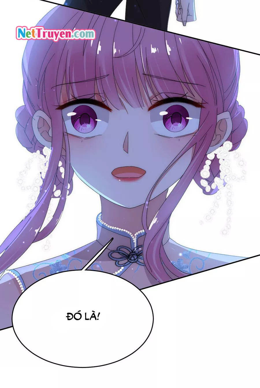 hoàn mỹ lão công tiến hóa luân chapter 79.5 12