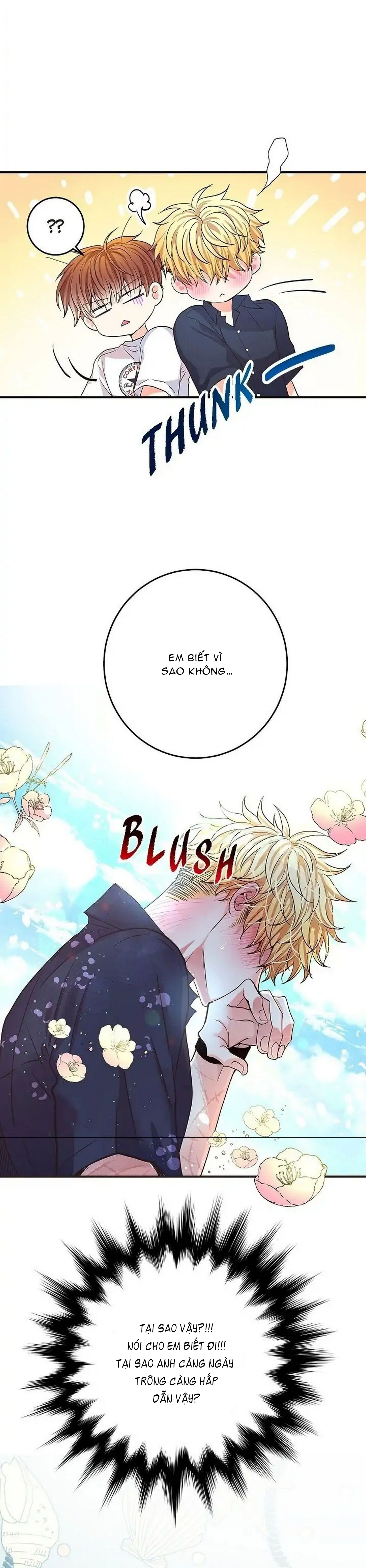 mối quan hệ phù hợp chapter 11 15