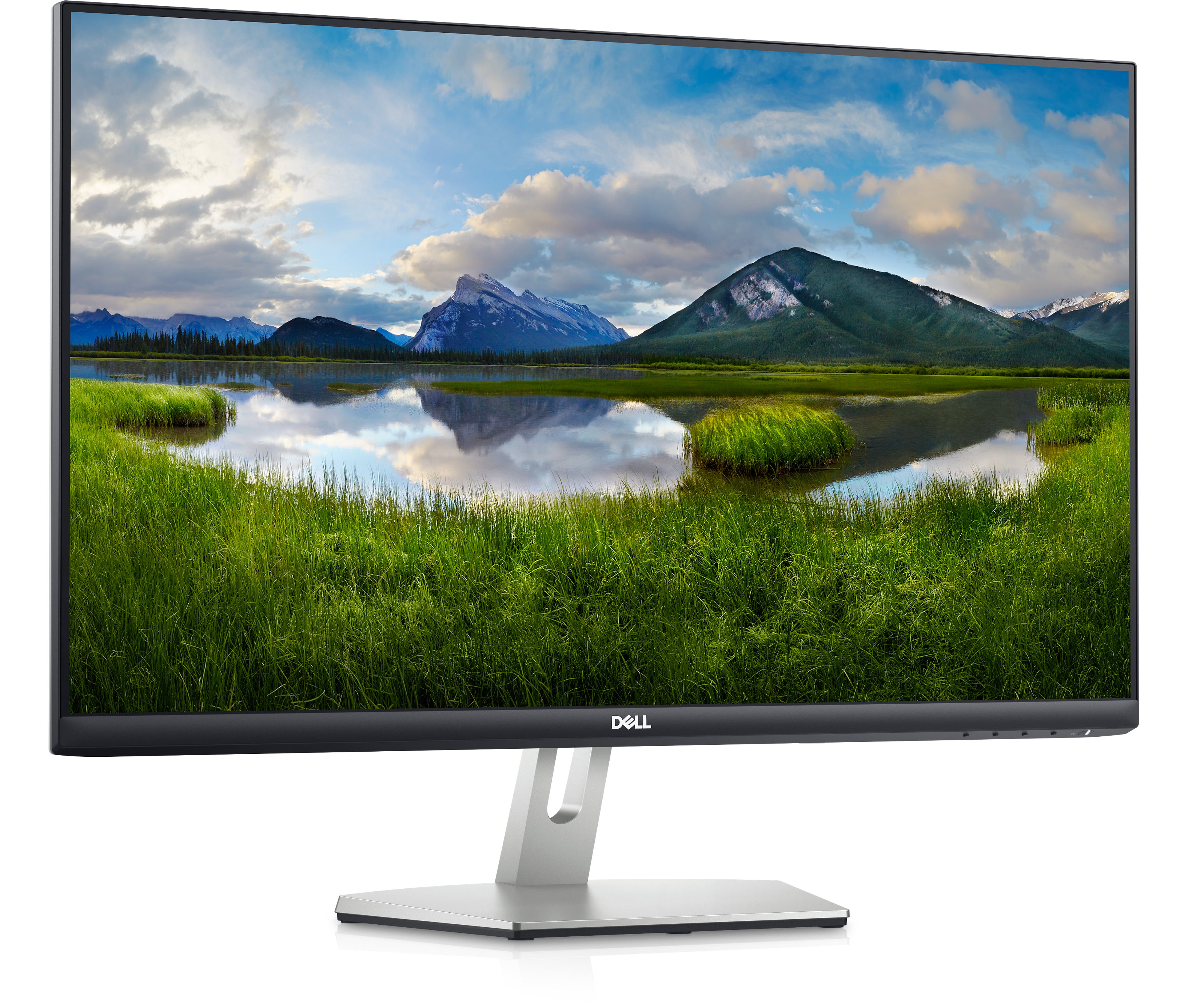 Màn Hình Dell S2721HN 27 inch Full HD 75Hz - Hàng Chính Hãng