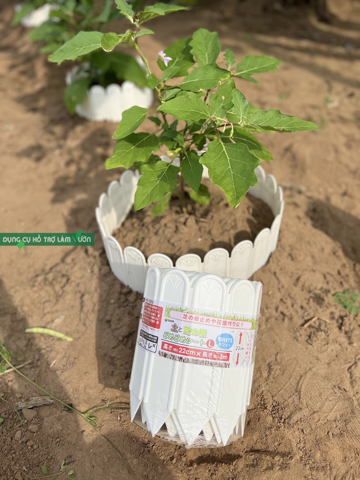 HÀNG RÀO NHỰA CAO 22CM, DÀI 3 MET - TRẮNG
