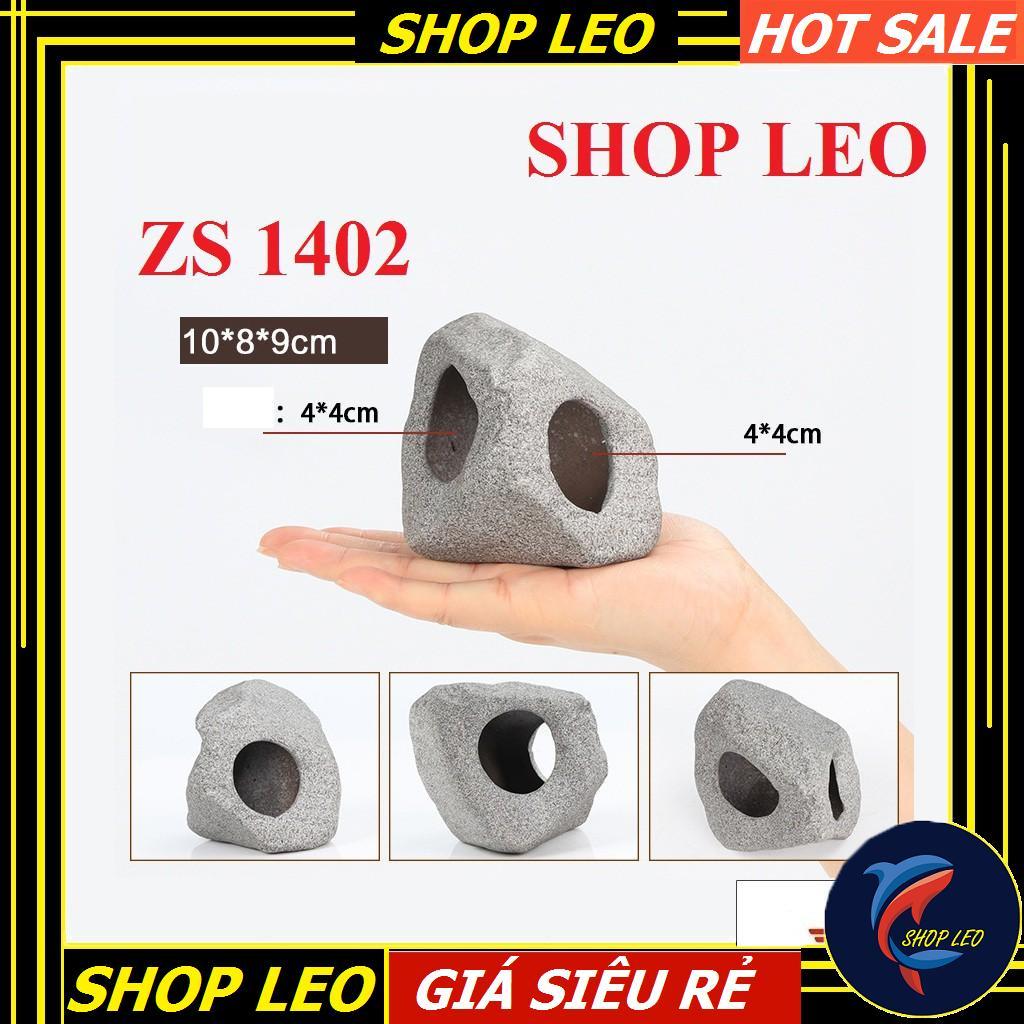 Hang cá ali - hang pleco - trang trí bể tép - bể thủy sinh - hồ cá cảnh