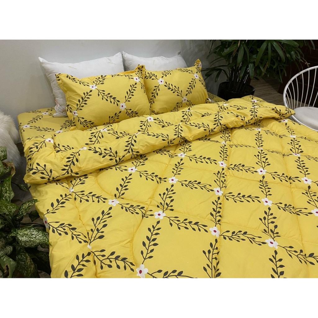 Trọn bộ 5 món chăn phao ga gối cotton poly nhập khẩu Hàn Quốc size giường 1m8*2m