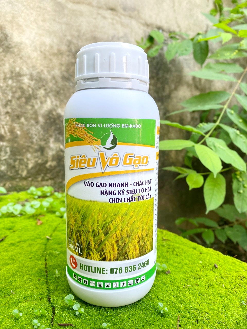 COMBO 03 CHAI PHÂN BÓN ĐÓN ĐÒNG ĐẾN THU HOẠCH TRÊN LÚA - VÀO GẠO NHANH, HẠT CHÍN CHẮC, NẶNG KÍ - SỬ DỤNG 5.000M2