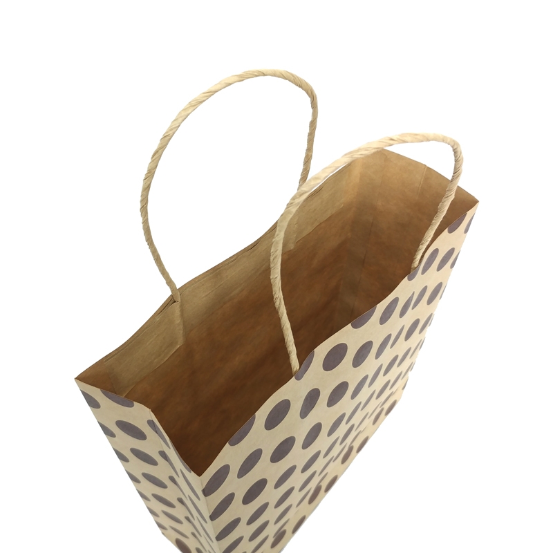 Túi Giấy Kraft Họa Tiết 25x22