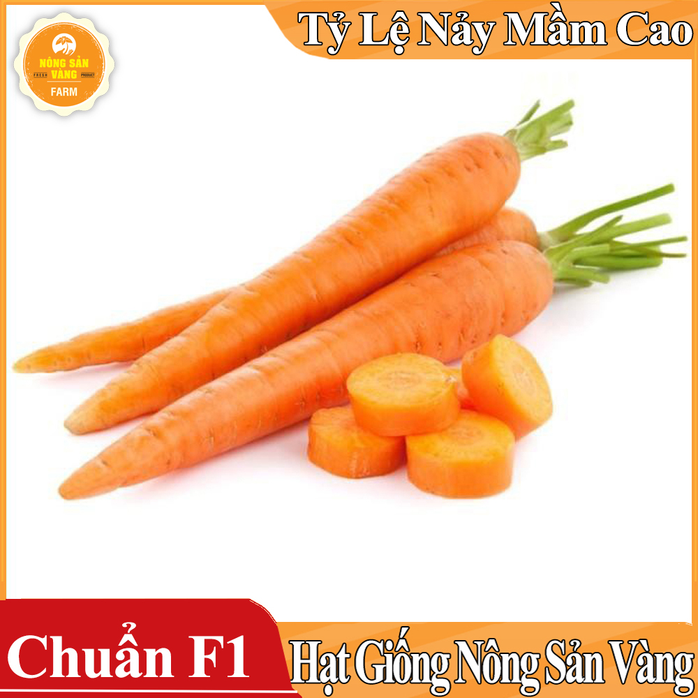 Hạt giống Cà Rốt Củ To F1