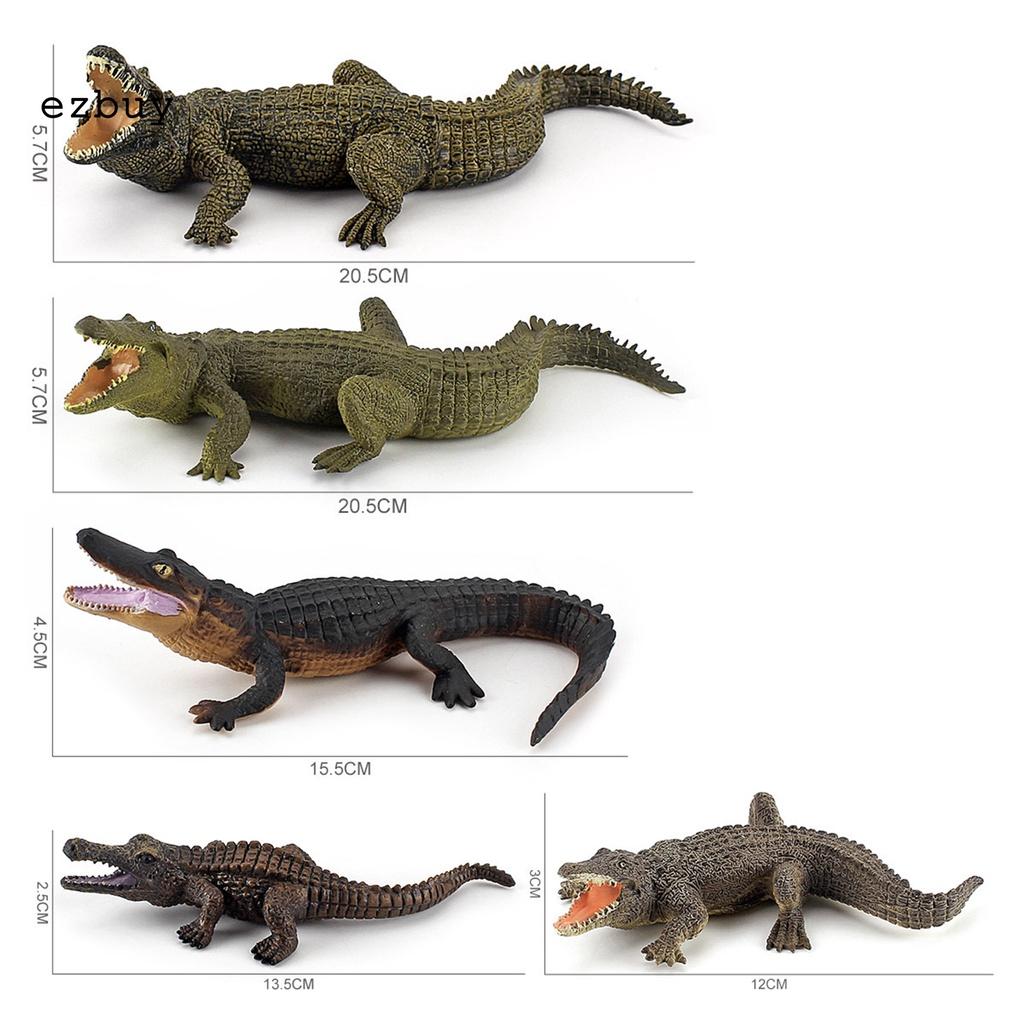 Lightweight Crocodiles Knowledge Toy Exquisite Crocodile Model Portable for Kids