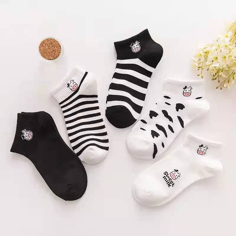 Set 5 đôi Tất nữ cổ ngắn họa tiết cute dễ thương phong cách hàn quốc chống trơn trượt 4021