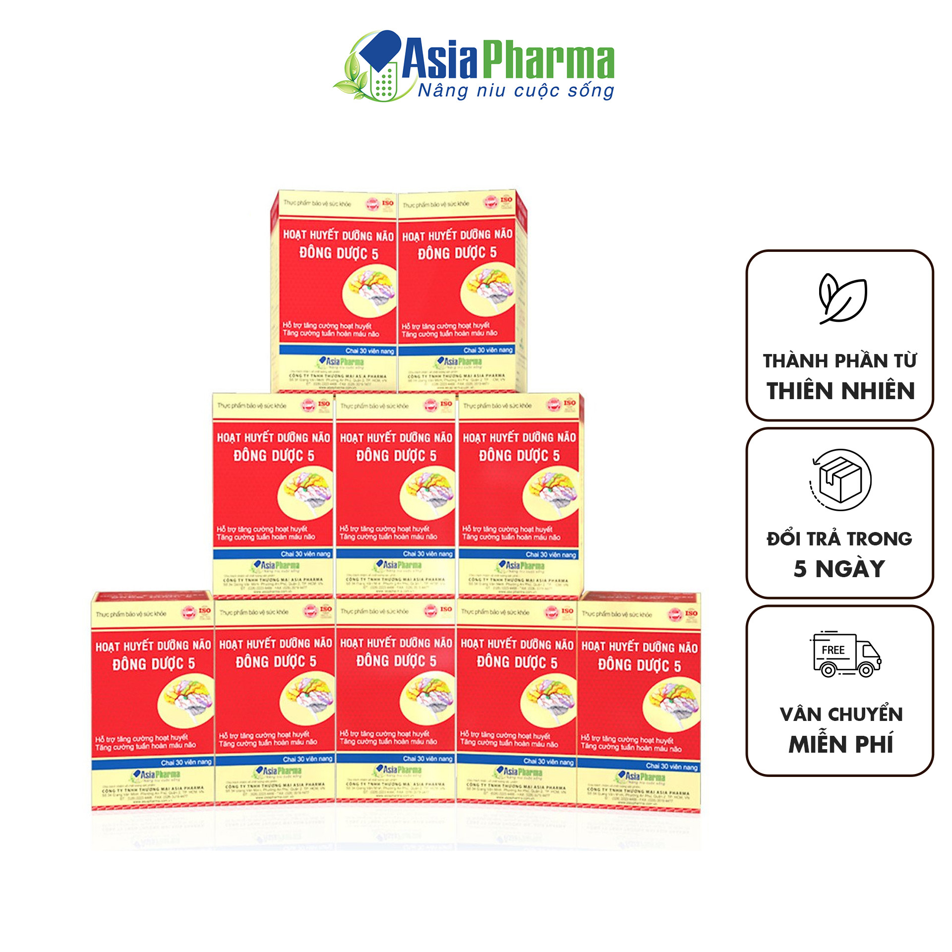 Combo 12 hộp viên uống hoạt huyết dưỡng não đông dược 5 hỗ trợ thiểu năng tuần hoàn não, giảm đau đầu, thực phẩm chức năng bổ não