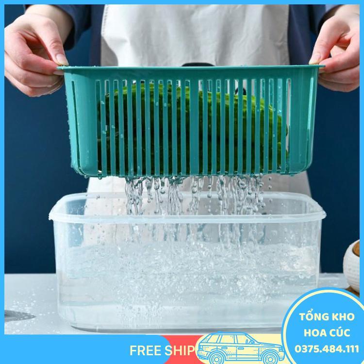 Bộ 5 Hộp Đựng Thực Phẩm Giỏ Có Nắp Đậy Khay Nhựa Kèm Rổ Ráo Nước Để Tủ Lạnh Bảo Quản Thức Ăn Tiện Dụng - Vận Chuyển Miễn Phí Toàn Quốc