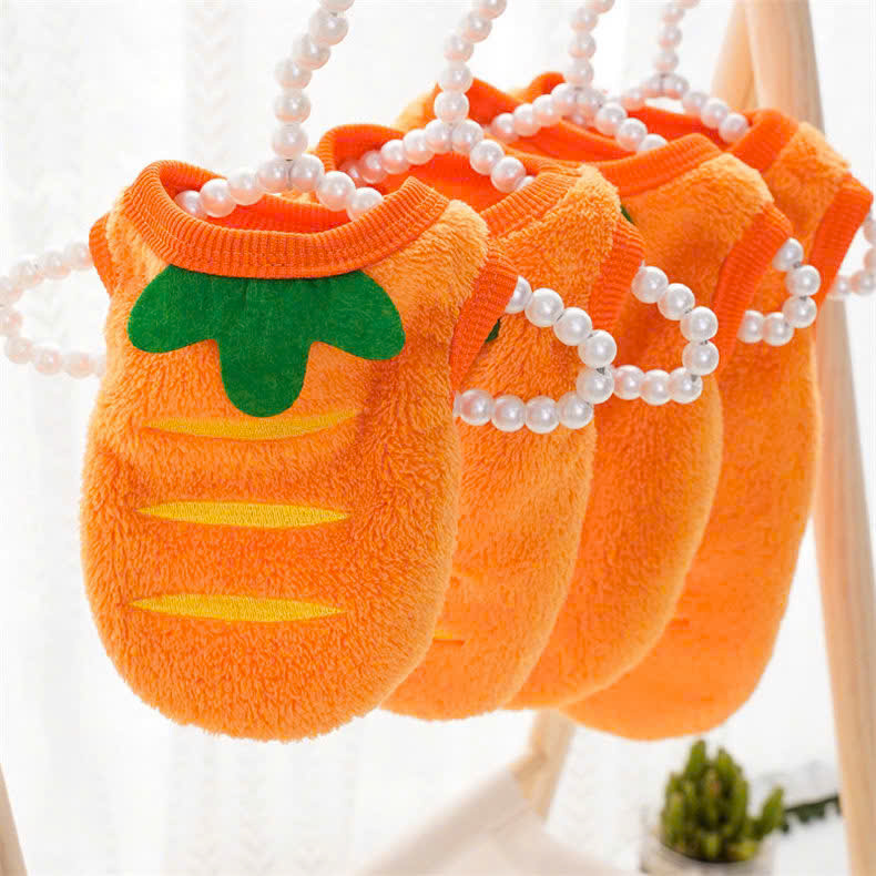 ÁO CÀ RỐT DỄ THƯƠNG CHO THÚ CƯNG CHÓ MÈO