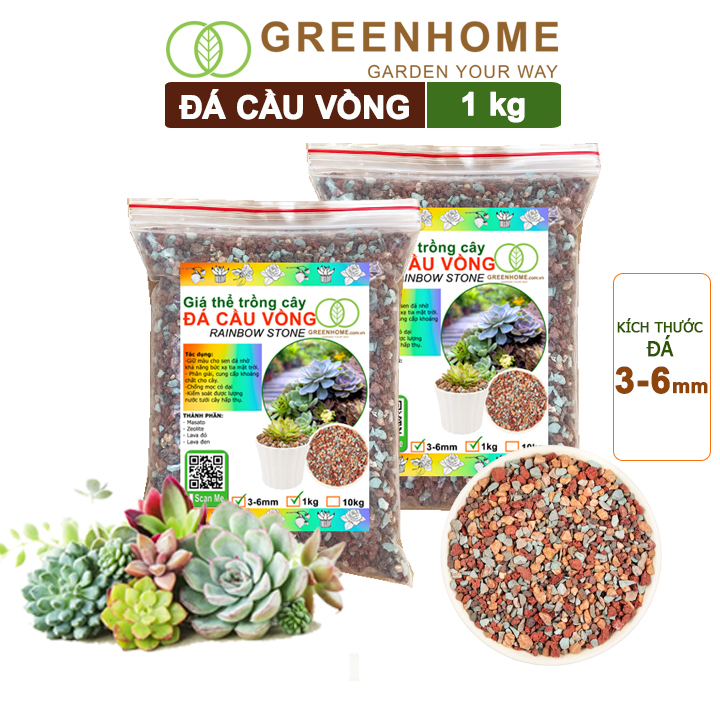 Đá cầu vồng, kích rễ, đậm màu, thoát nước tốt, chuyên xương rồng, sen, bonsai Greenhome