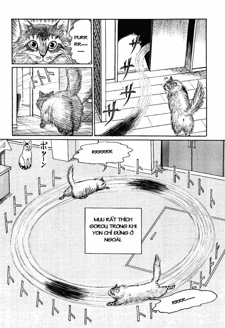 ito junji cat's diary chapter 9 10