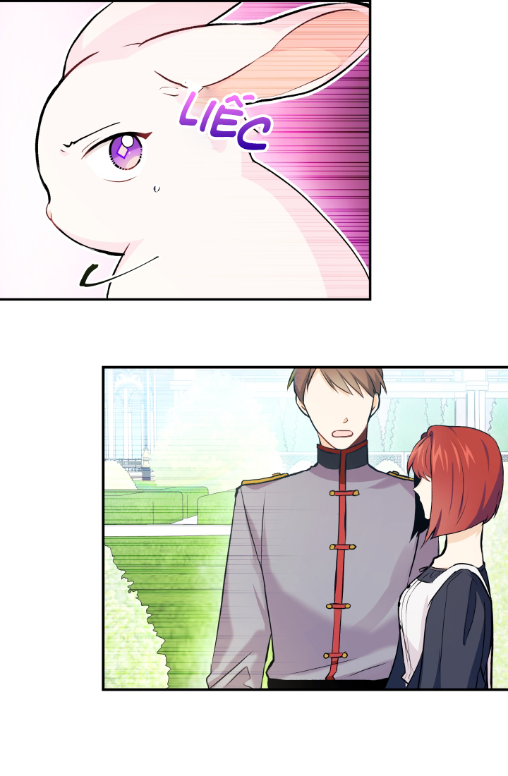 mối liên kết giữa báo đen và bé thỏ chapter 3 55