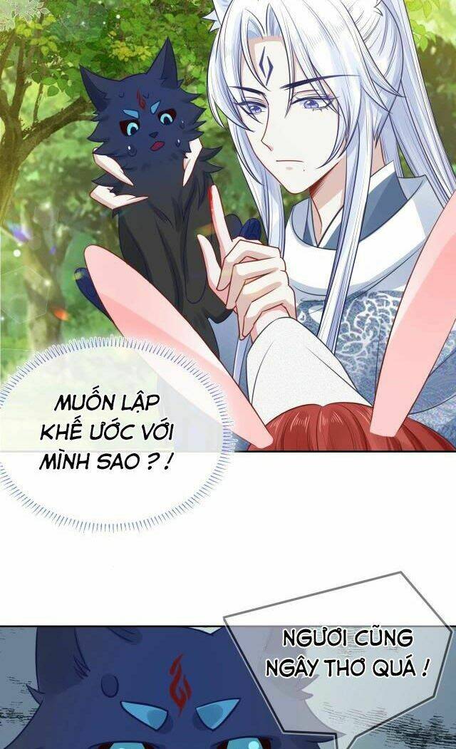 hắc hóa nam chính trực tuyến nuôi thỏ chapter 17 23