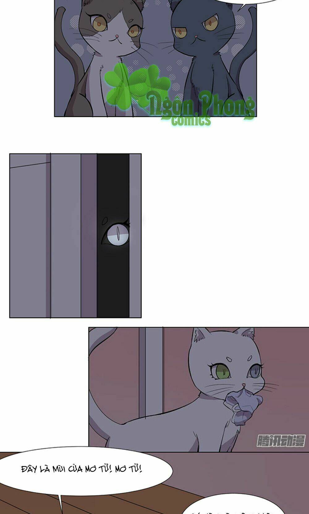 hai chú mèo totem chapter 33 4