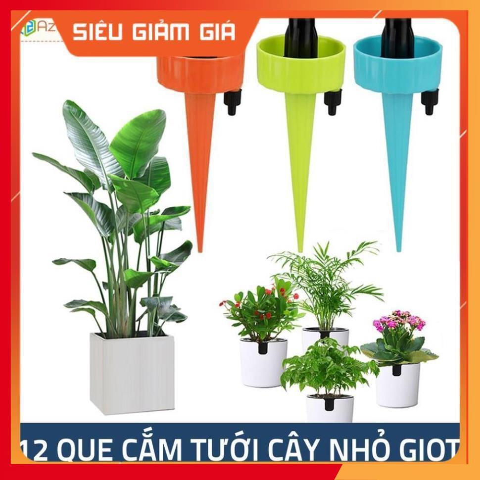 Set 12 que cắm tưới cây nhỏ giọt 206801