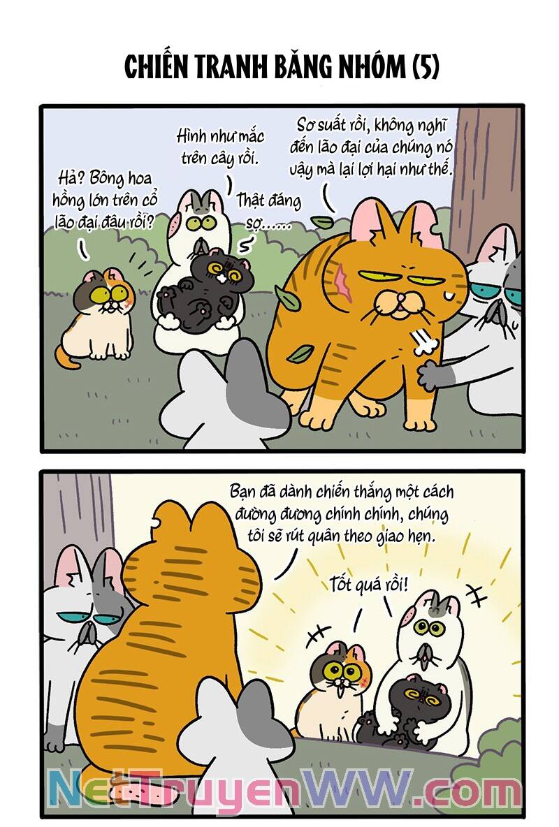 a mãn và mạch trà chapter 43.1 3