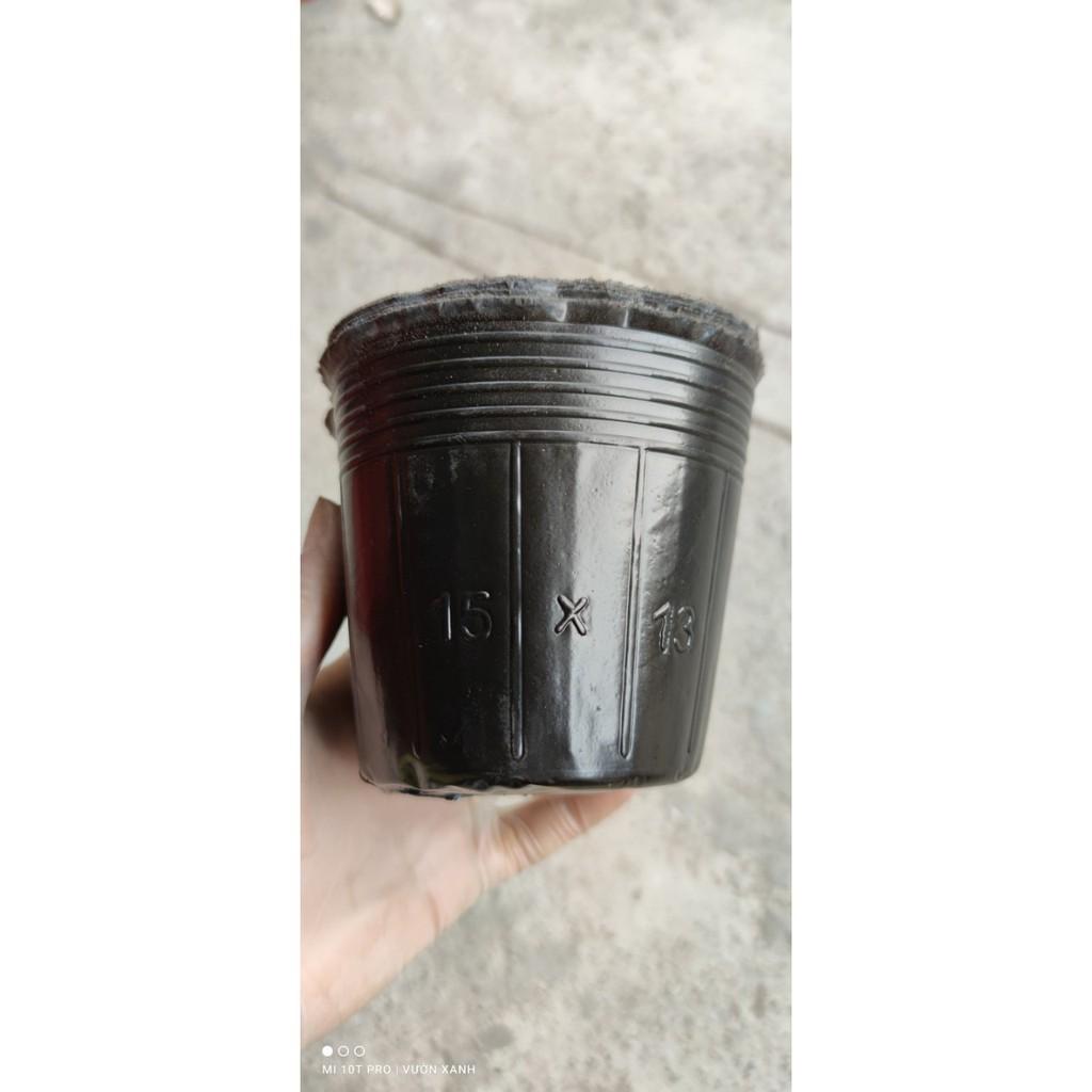 0.5kg túi bầu ươm cây nhựa dẻo chọn size