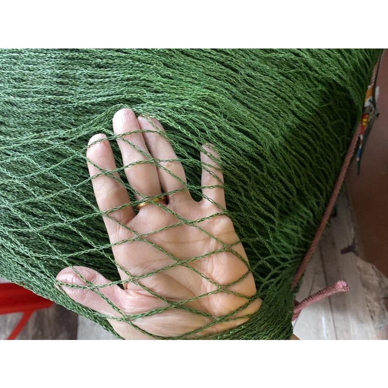 Lứoi cước làm giàn leo, lưới giàn leo,lứoi cước rào gà, lưới trồng cây màu xanh