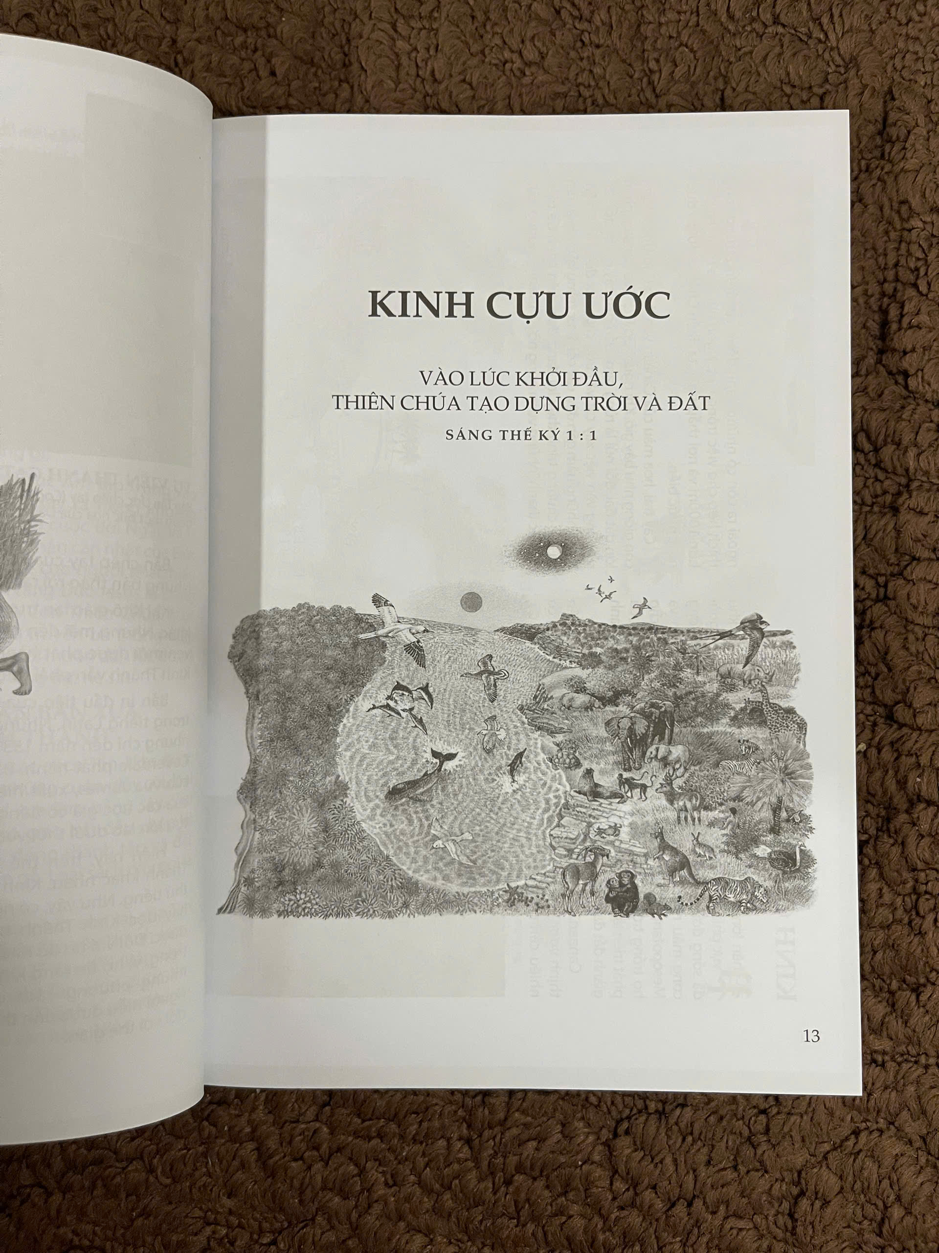 Sách - Câu Chuyện Kinh Thánh (VLA,)