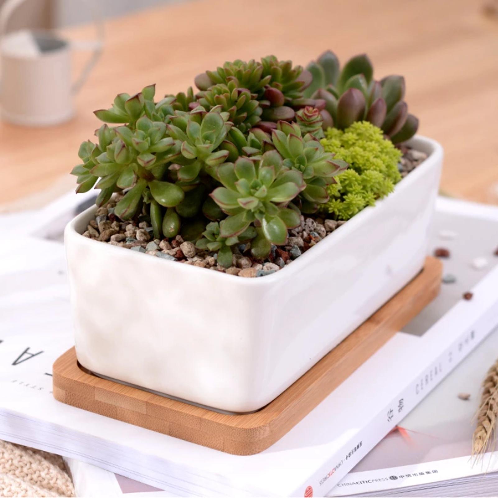 Chậu hoa bằng gốm hình chữ nhật màu trắng có khay tre để trang trí bàn làm việc