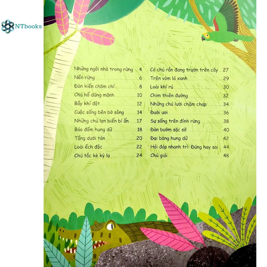 Combo 4 Cuốn sách đầu đời của bé: Khám phá Vũ Trụ, Trái Đất, Sinh vật Rừng và Động vật hoang dã