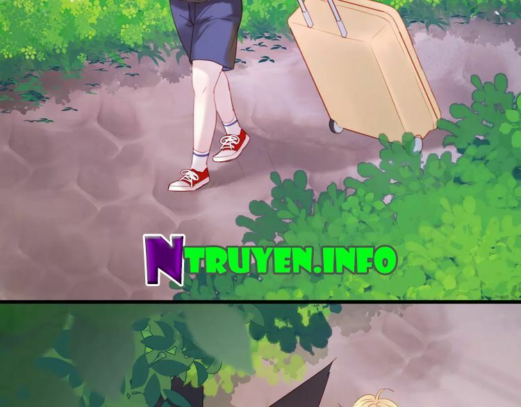 lượm được một tiểu hồ ly phần 2 chapter 3 20