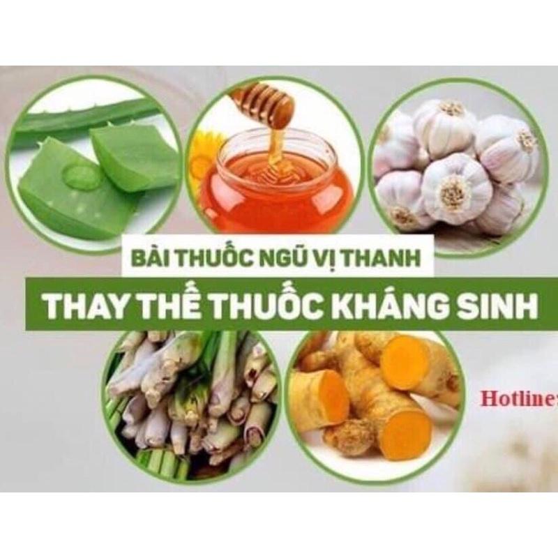 Ngũ vị thanh vàng - kháng sinh tự nhiên