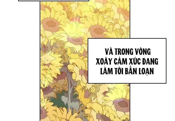 guide cấp b chapter 31 124