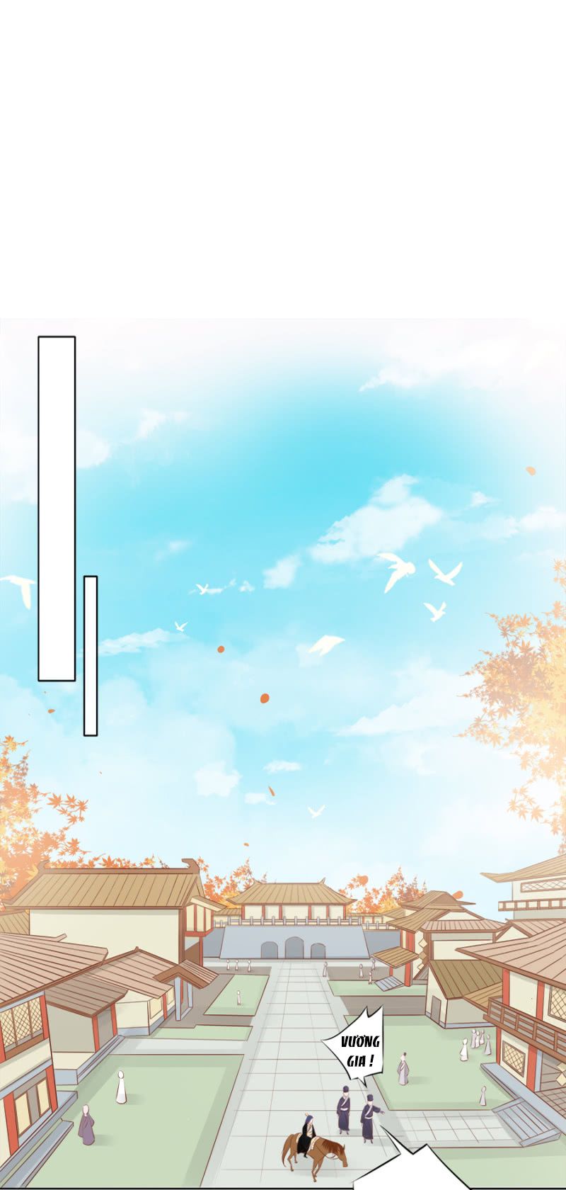 solo đi vương gia chapter 63 12
