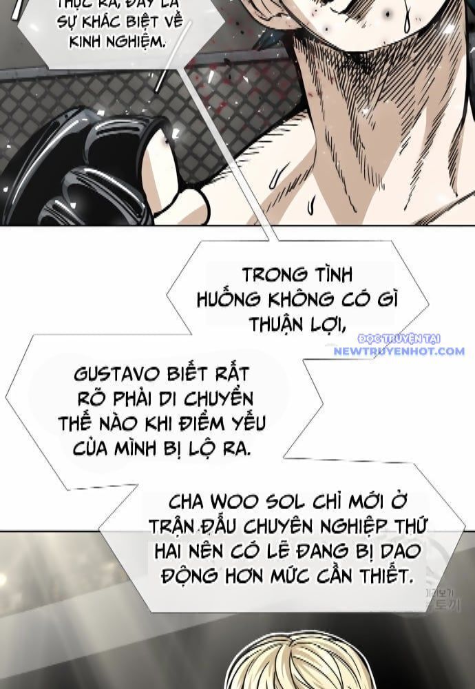 shark - cá mập chapter 260 78