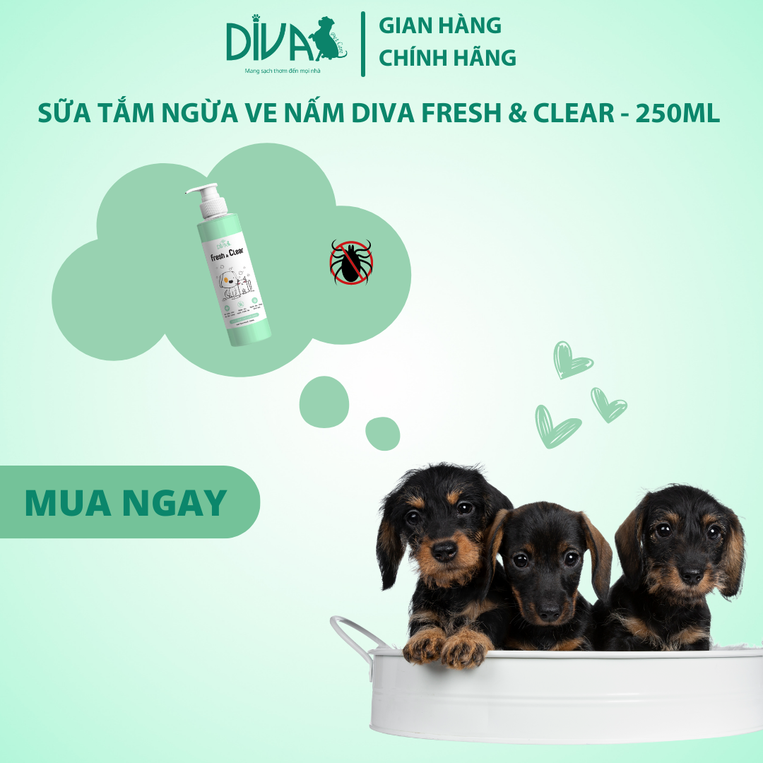 SỮA TẮM NGỪA VE NẤM CHO CHÓ MÈO DIVA FRESH & CLEAR 250ML